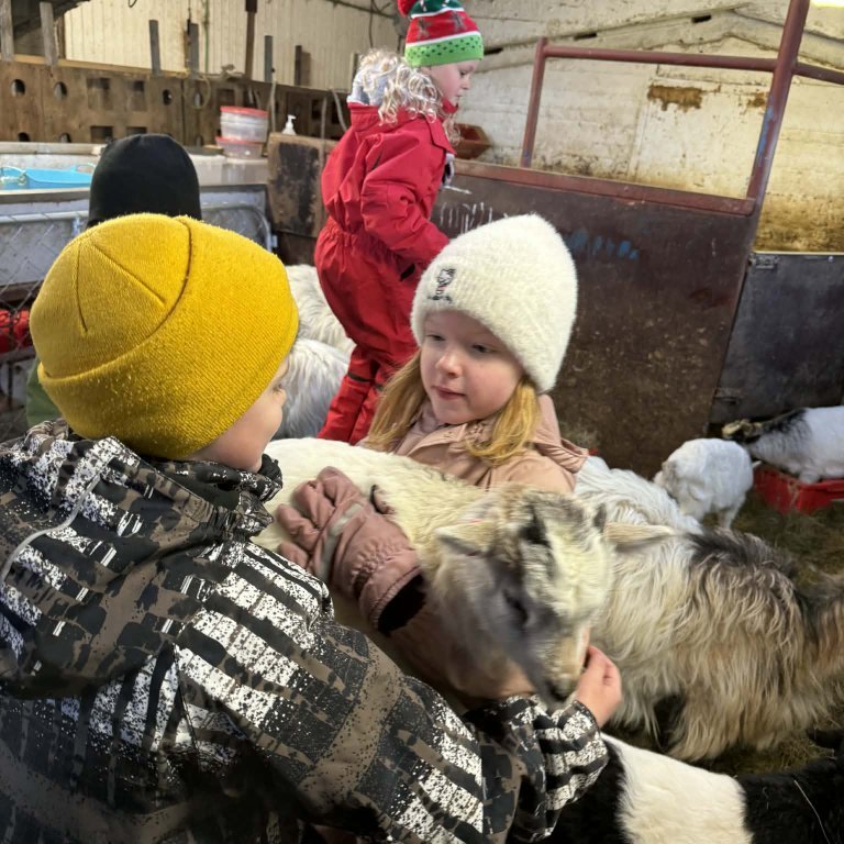 2e556ca7-a636-4a68-b184-3b05b026a60d