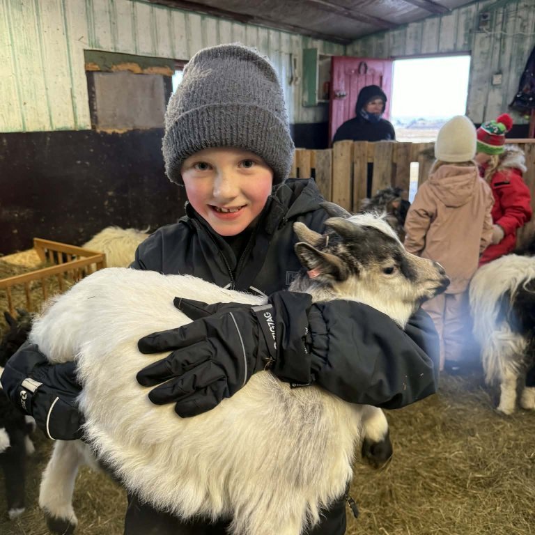 32100499-1020-4d5f-a92e-f809e0a73b37