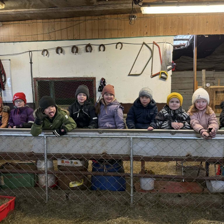 514dca13-45fe-4e5e-9630-49aaca98def8