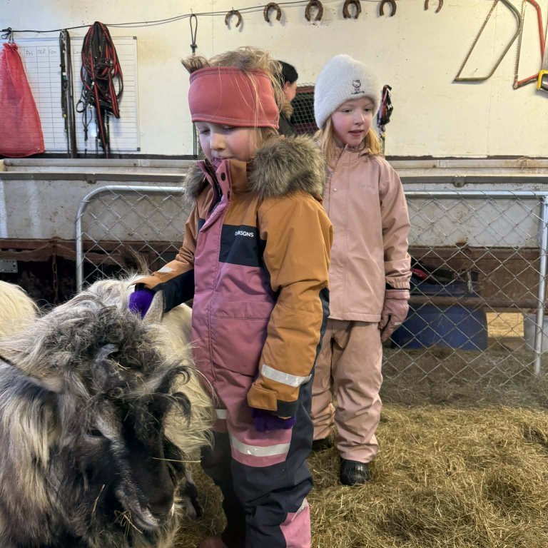 55a4d258-71ad-414b-90f9-1ea9a317eded