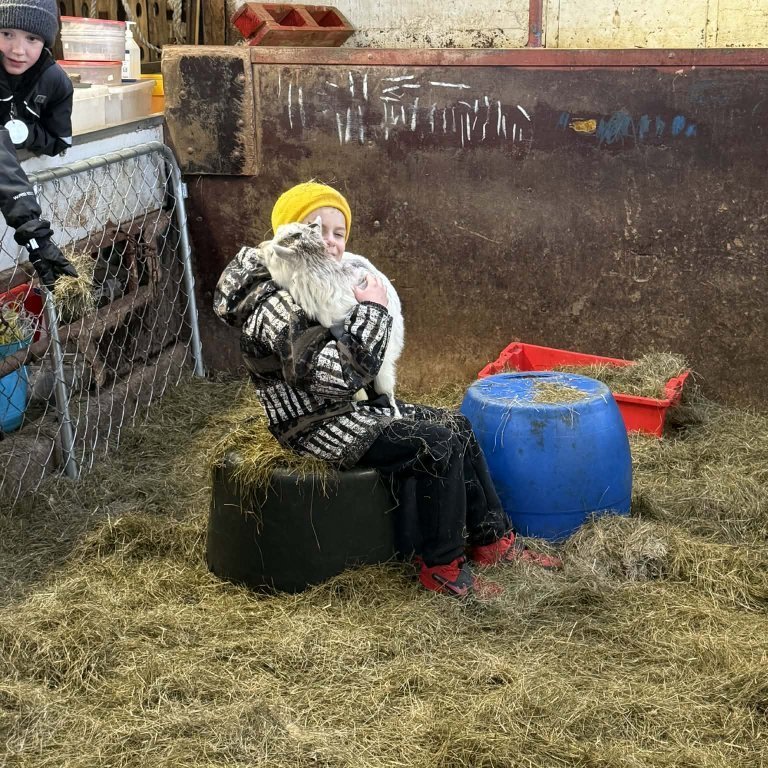 5d331c5c-f661-4abe-95ac-c0c79f1ad93b