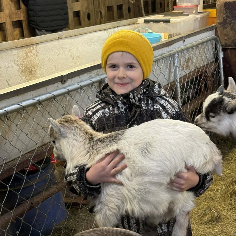 68970853-85c6-47d2-8033-afa00ffc277c