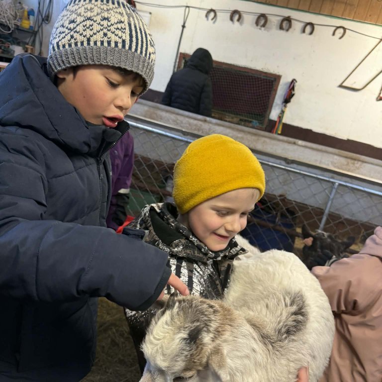 81142bd4-945e-46cd-bc83-d8e210ad37cf