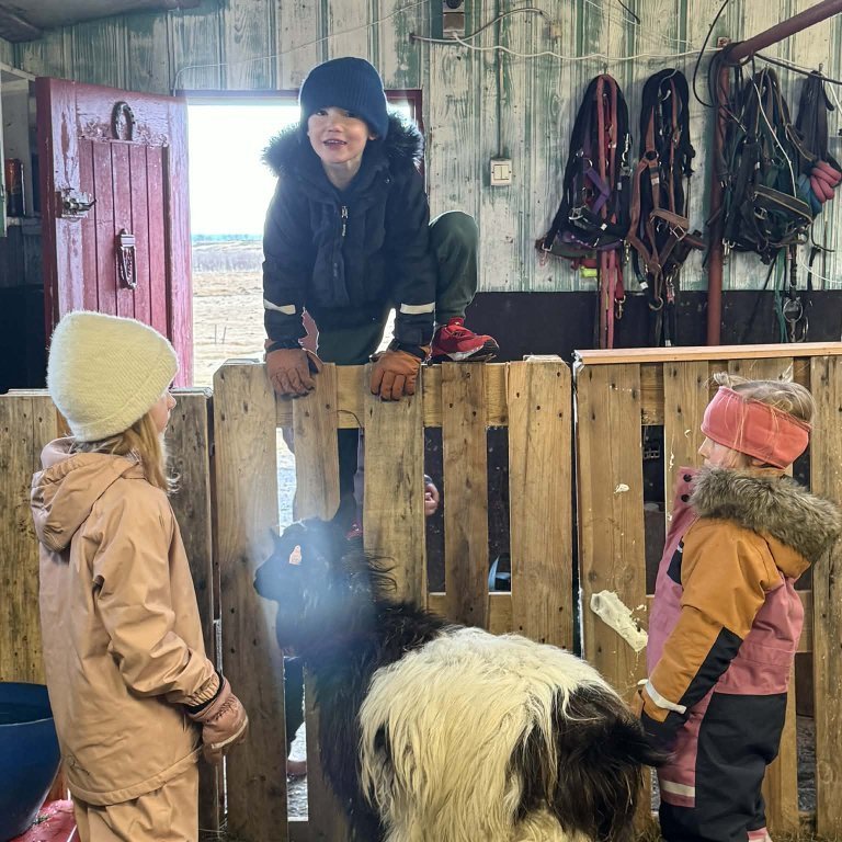 8266060f-e5f7-4e67-bea0-d9738144620f