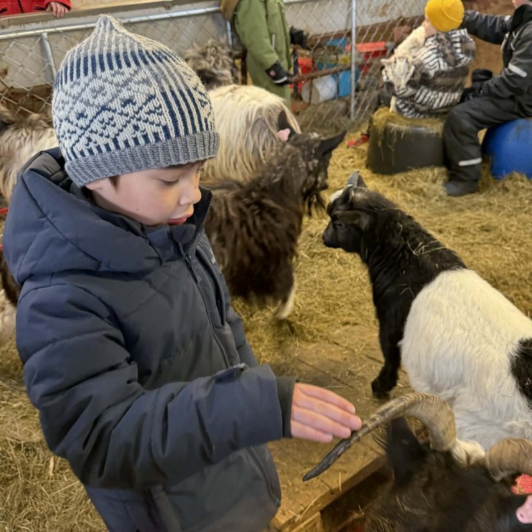 847ecc24-8016-4bea-92af-111faf5e1497