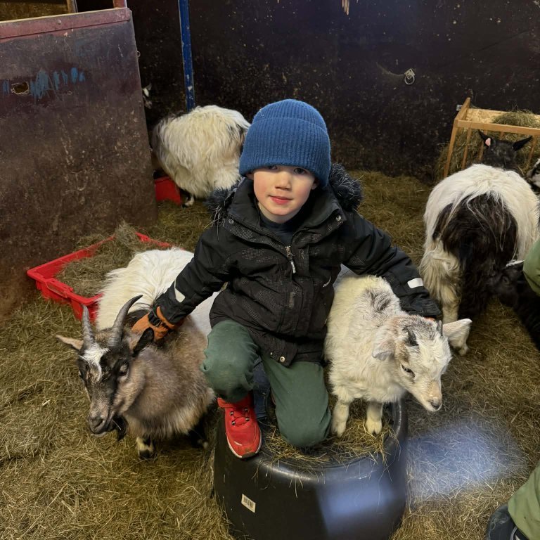 aaaf541d-8c73-41b9-9f93-2c8ecbe6e586