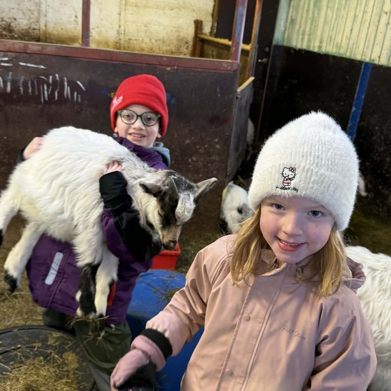 ab4f7deb-cde6-4d22-8809-e03d0f9f8f9d