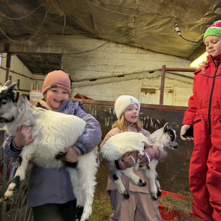 b3ade698-6608-457c-af12-ac9368641f4e