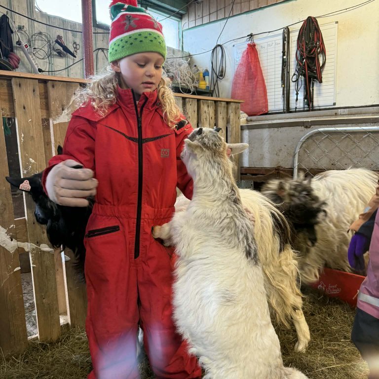 b626f8b5-ed2e-420a-80f7-64c365561c58