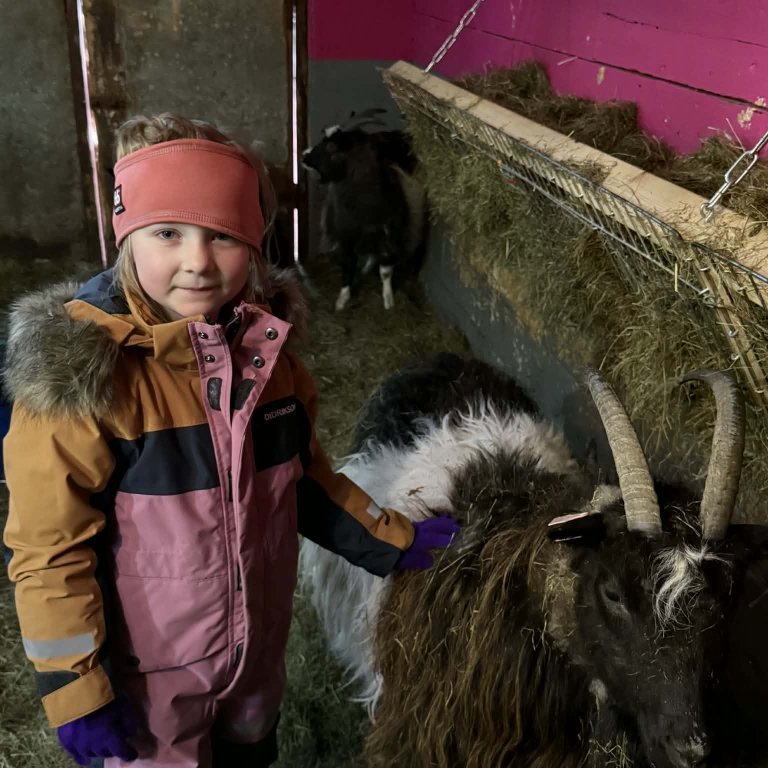 b6bd4313-c477-4558-af6d-a315e13db70f