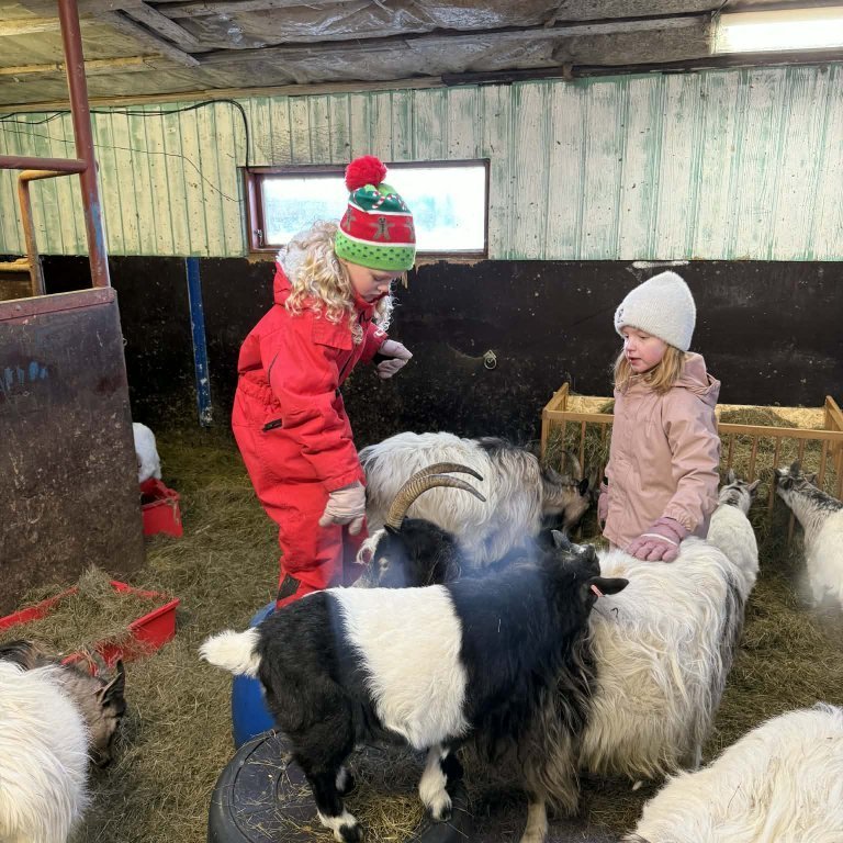 bb6f297b-6fc1-41dc-928d-90b5035a2f4c