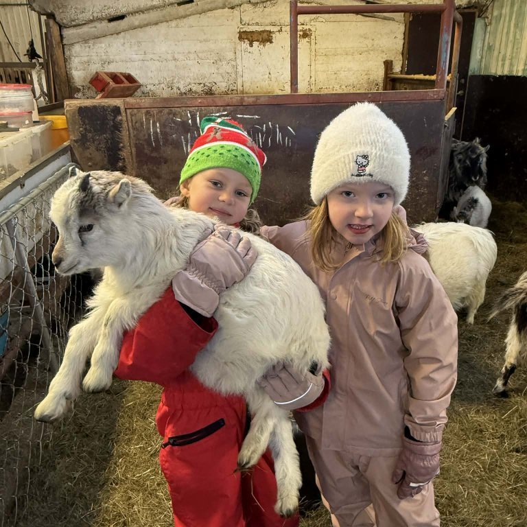 bfc8e232-263e-408f-967b-ceead8f0404a