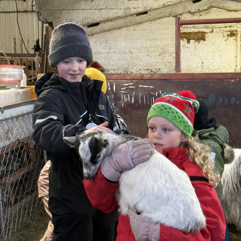 d4da9a9c-cc20-4c64-a6a2-cb2c7b0e53e1