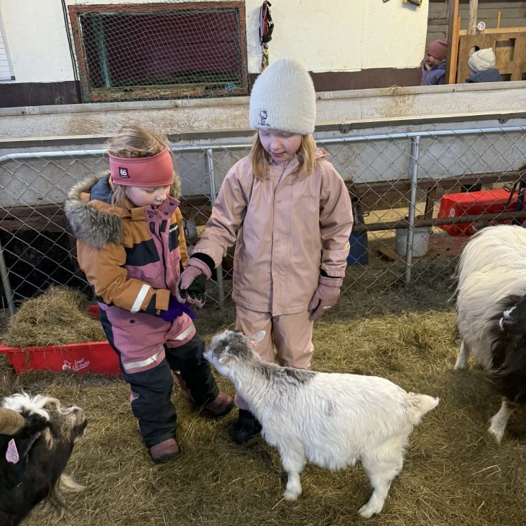 deb14d97-280e-49fd-915b-5c24f2d127c5