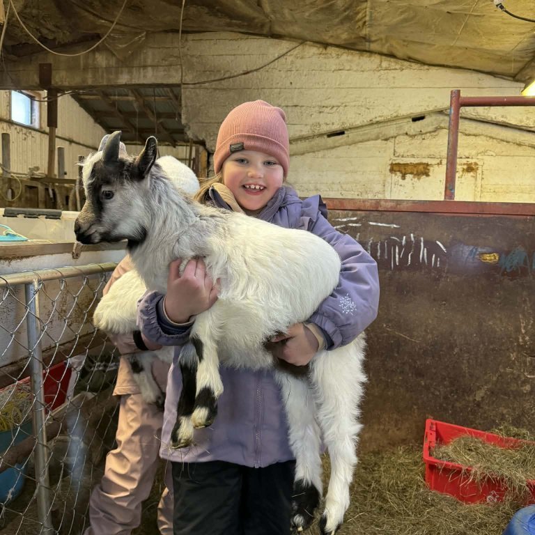 edfab949-4446-4048-b7d8-7974cad958bb