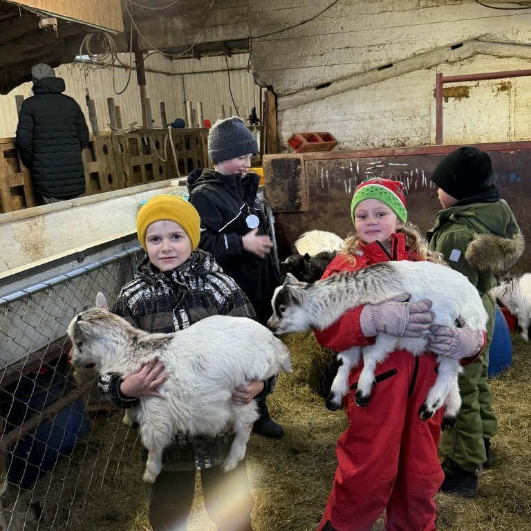 fd1929d2-1cad-444a-9982-c35e54462cc6