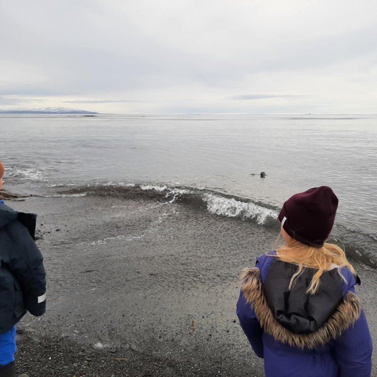 05538122-52d3-47a7-ab9b-00cf86640b69