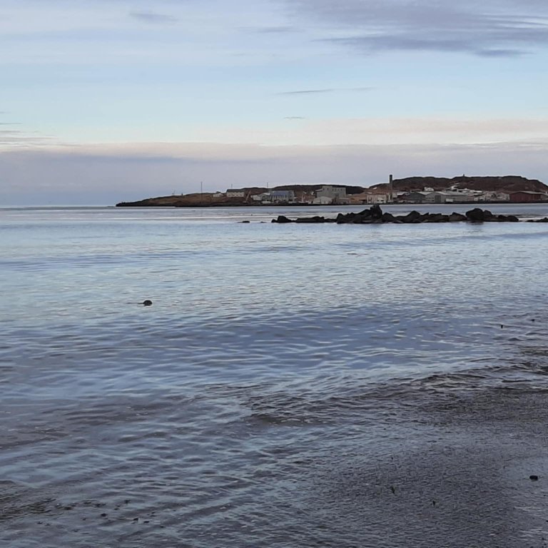 2ba2ca83-1304-4f57-a72f-f85cada6cea8