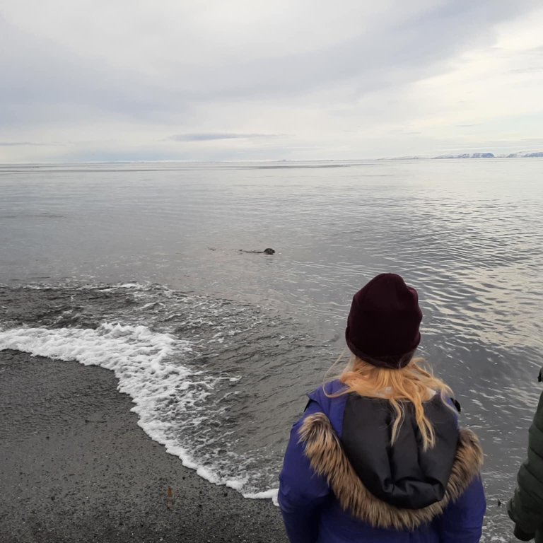 4601c32f-bb38-4e20-bfe1-6657d61a4550