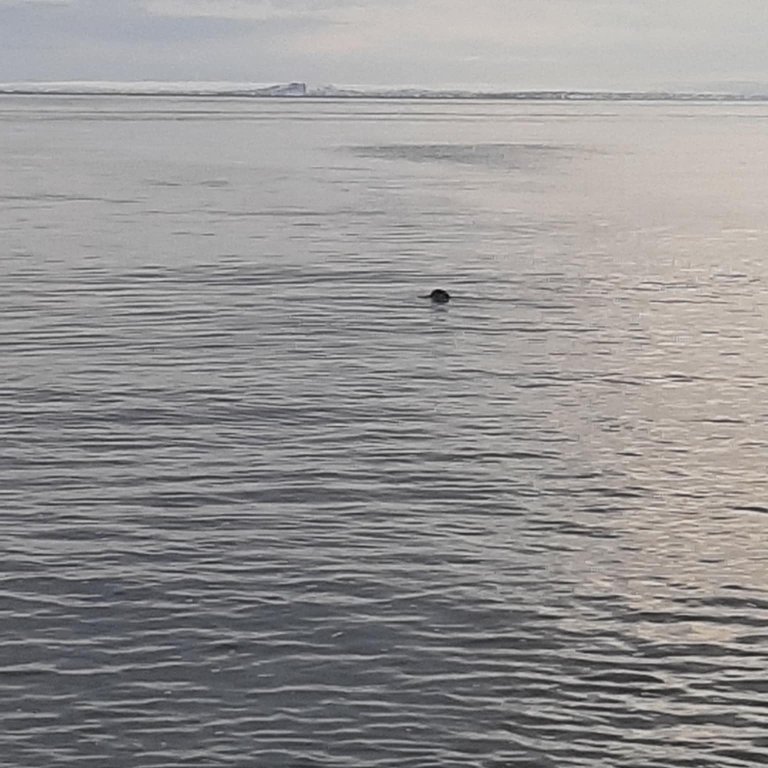 4a258ab5-4c86-419b-83fd-3b5b4e710e64