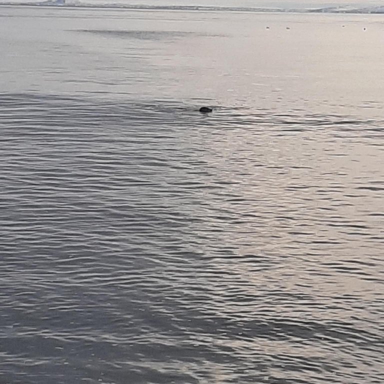 6a8119bb-f372-4ec1-b900-58391b80d8b6-1