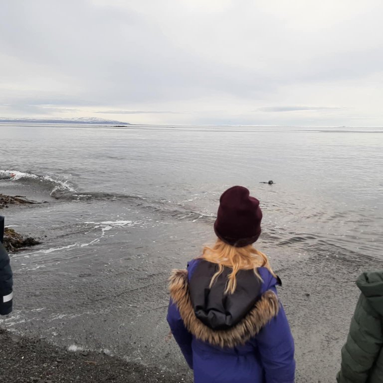 6ed04e1c-ac82-4de2-8c7e-ae0b31017408