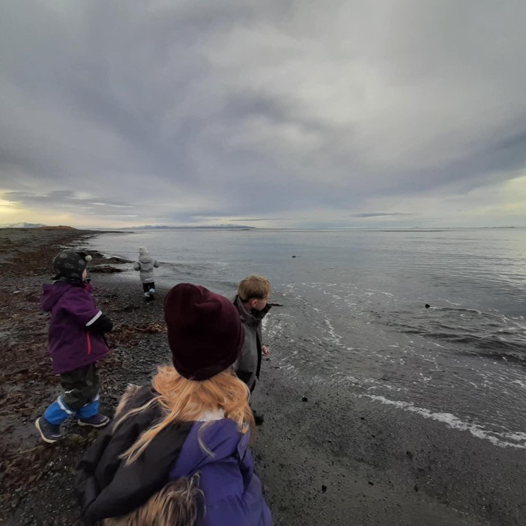 9203bbd6-b779-44a4-b5c3-2bfb58335f68