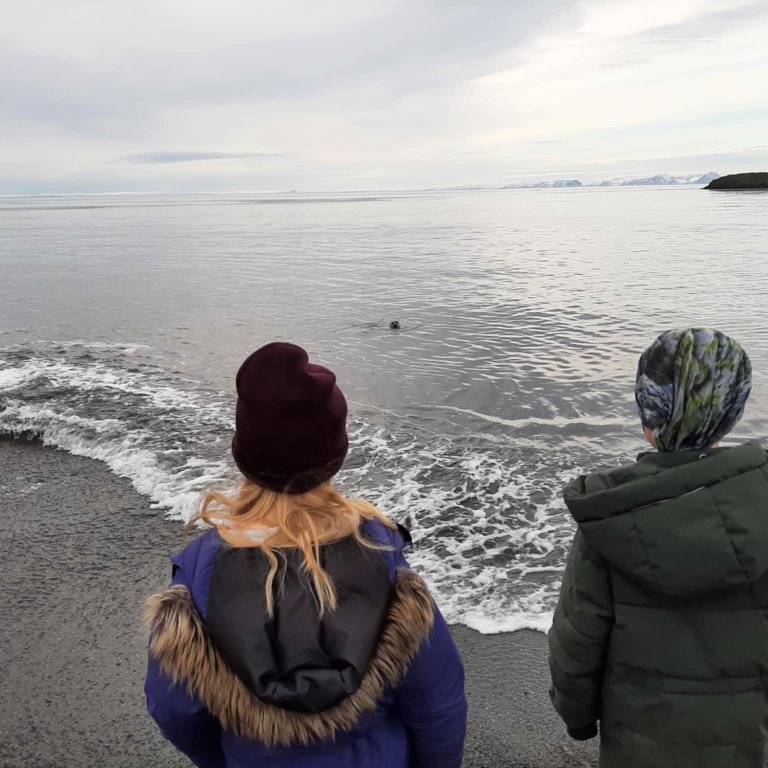 9c2b49a7-f1e2-49ee-8310-82a0ba364868