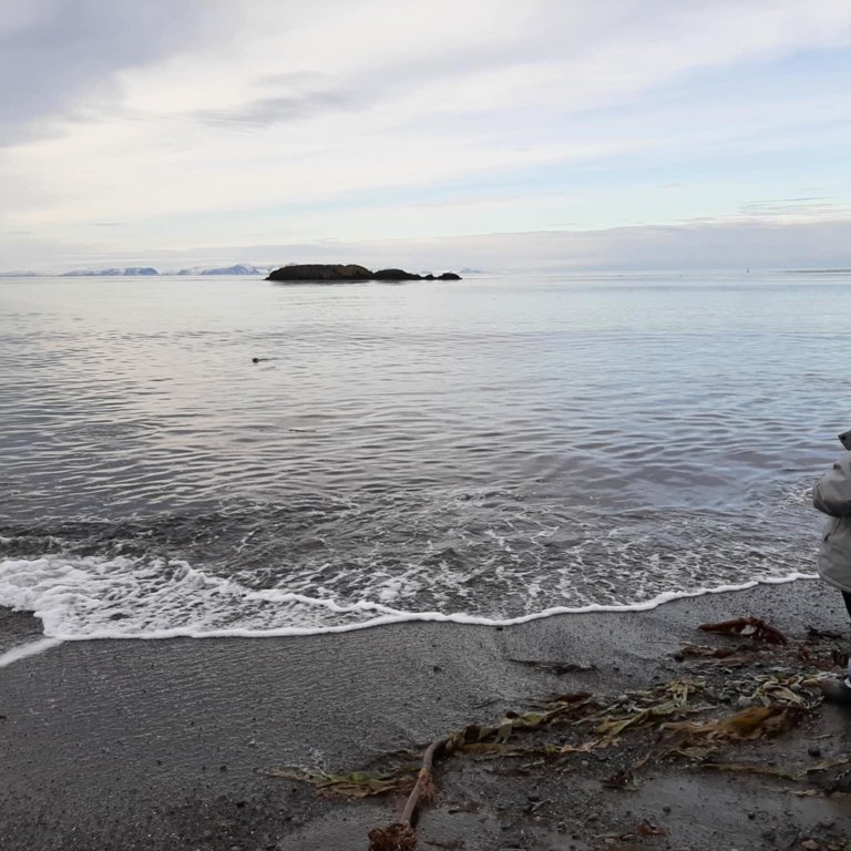 9fa5113b-a533-471e-99c8-af8d69699114