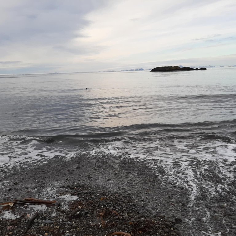 b851d9a1-080e-4cc3-828c-5083bdc616cd