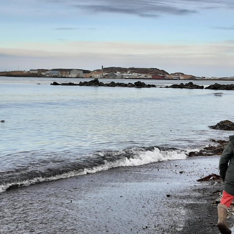 d989cf5c-0270-40dc-8b06-76b190633ef8