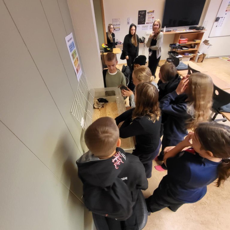 06be3aec-8e7e-4890-a3b9-ecb3c66b158f