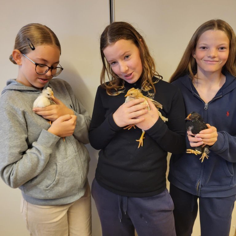 22e9ef6c-b1b3-442e-8e3a-196b14d184d3