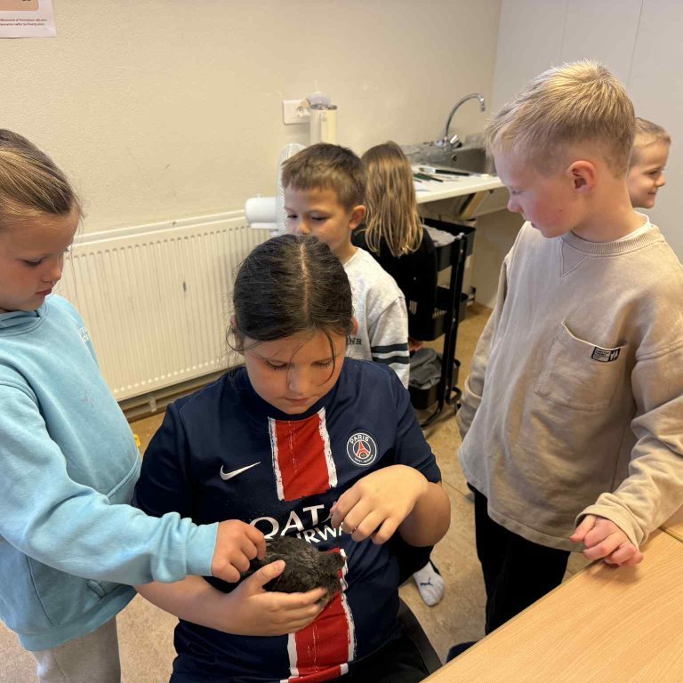 3e81a399-1158-4bc9-98b8-39743a74a26e