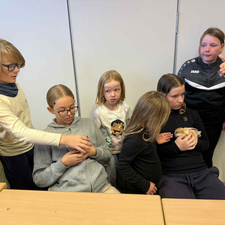 4022c99b-4d2a-4f22-a322-17ad03a14595