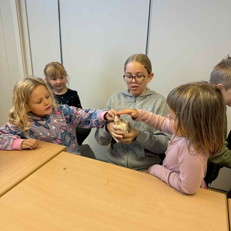 437e5b1d-78a2-4002-816e-3bba705c75bd