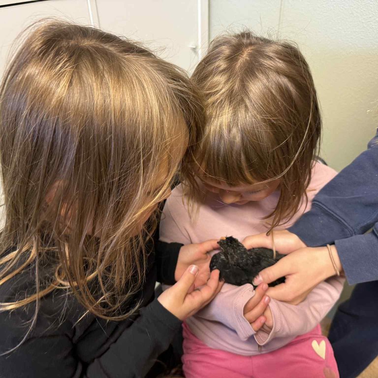 45310e80-cec8-46fc-815d-6170b2916b49