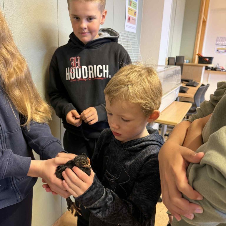 55c9b7ae-96ae-4298-9d1a-5838e0f16711