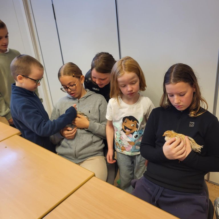 6ba2af1c-cf25-4dbe-b850-a734ae36a4e7