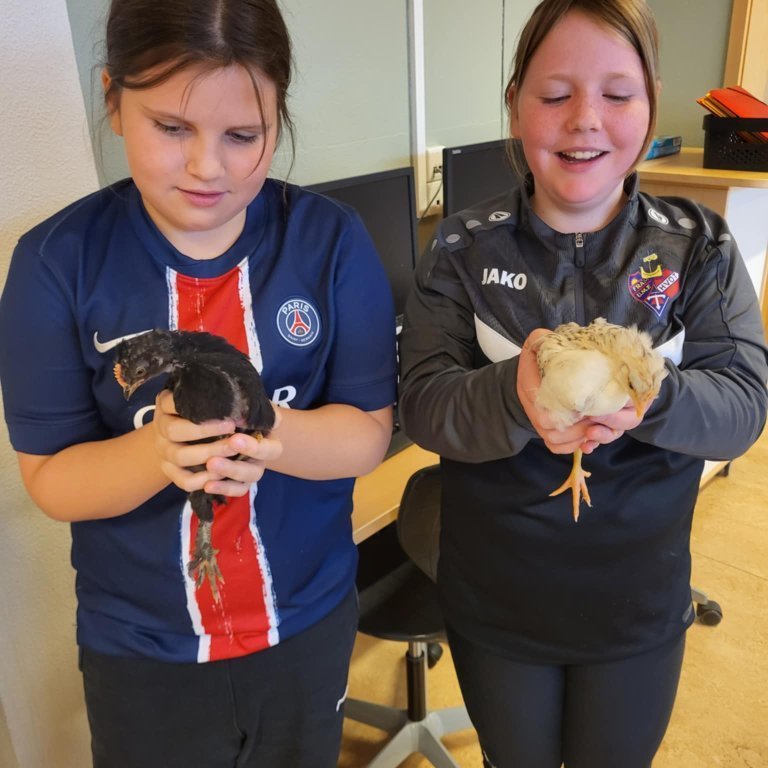 72926391-eaea-404a-b5ee-4b37bbfc7d86