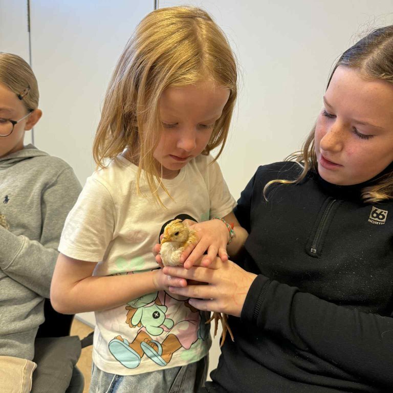 8ded89fd-4ab5-4c29-81e4-85c64df4deee