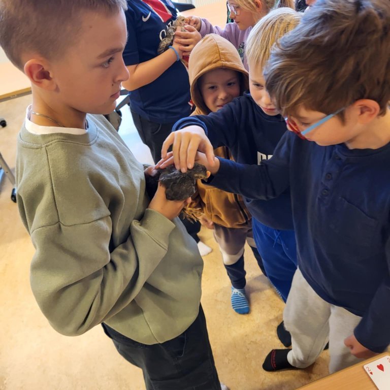 934374c8-3edf-4bbf-be8b-2c5116f83704