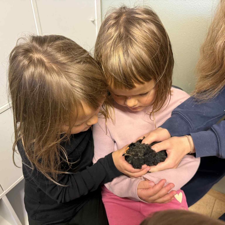 b8a4e922-ee79-484b-9c3d-b13f27689493