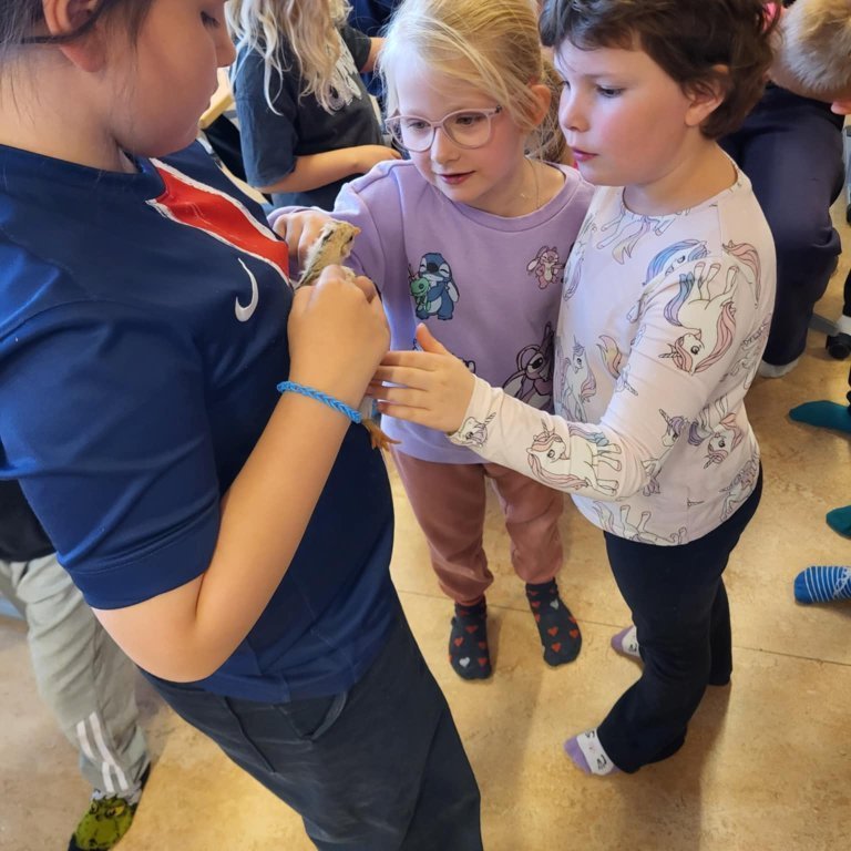 bb7c7b7d-3330-40b3-976c-98ca77ece261