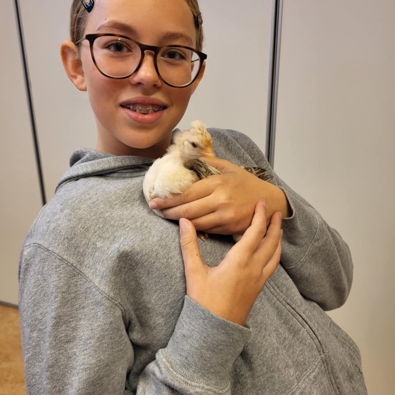 ccd81e32-dc26-401e-9d00-42ca0c9740f8