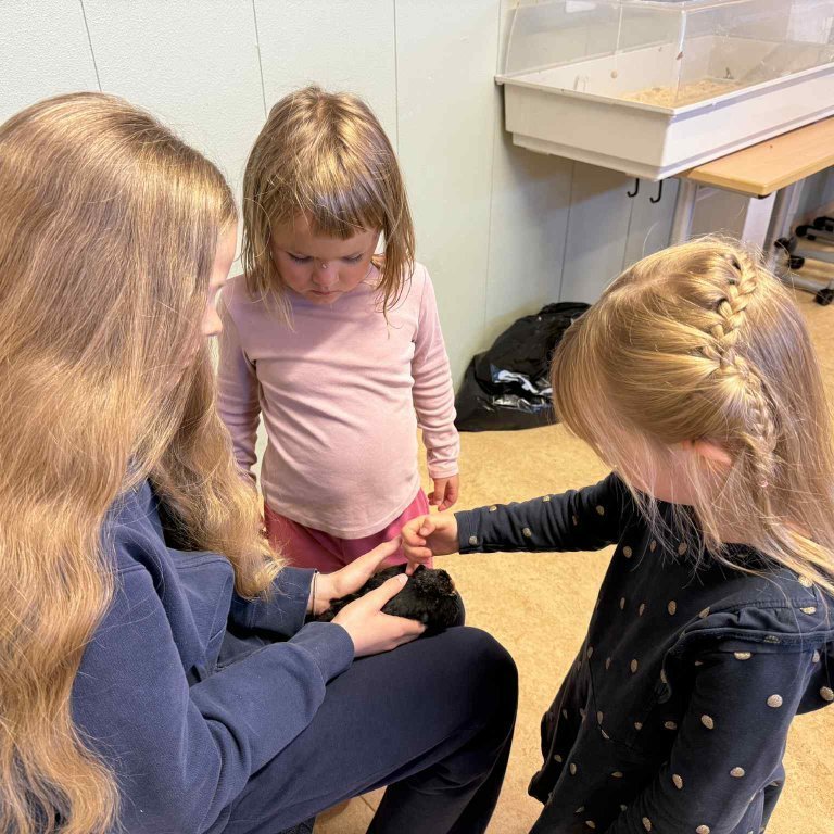 d4fdc40a-fbaa-4d0b-84f3-d12dc861b954