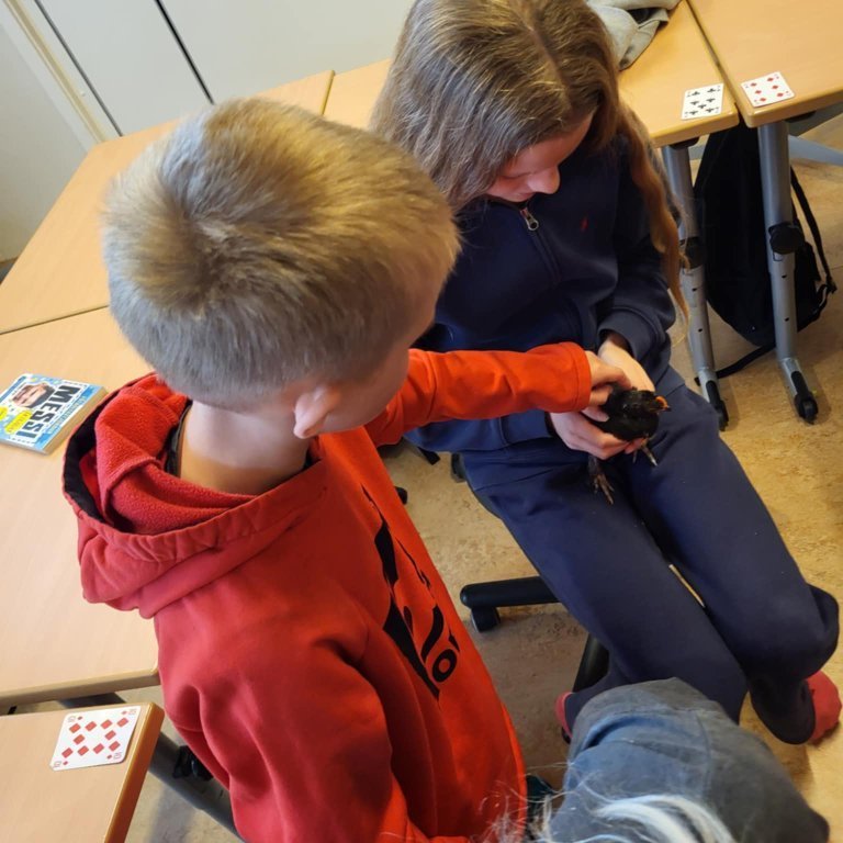 dd2d49f5-1d3b-4f24-a550-840144a37d31