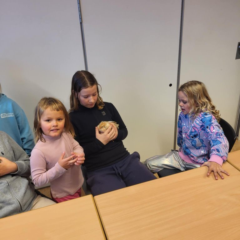 dd7598b6-88c4-4954-b0fd-1e29e36a6519