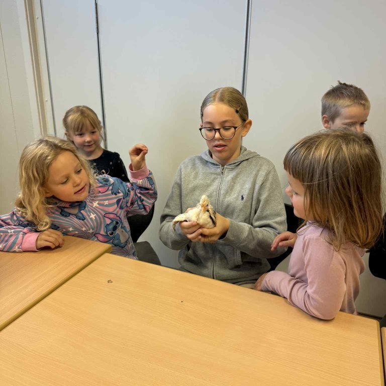 f2058762-07e0-40f3-a448-c66f8de2323d