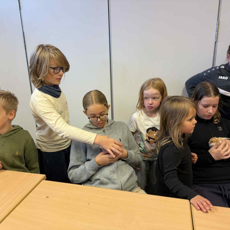 ffdeeab5-4d26-4e6c-9309-d67dcf3e0438